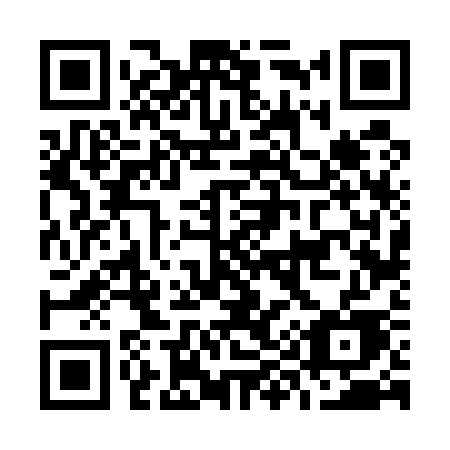 QR code for plate O96-53E