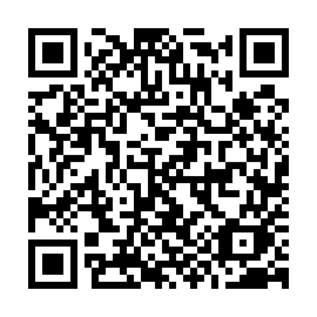 QR code for plate O96-55K
