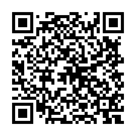 QR code for plate OMG-811