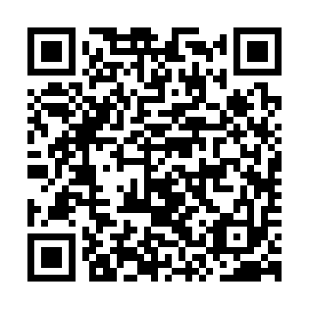 QR code for OSR-313