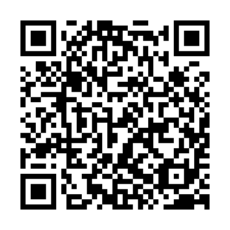 QR code for plate OXQ-991