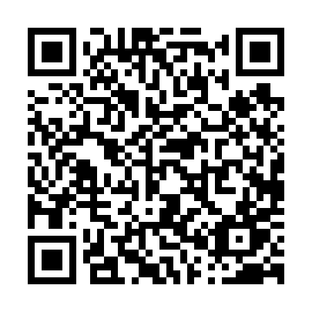 QR code for P0060T