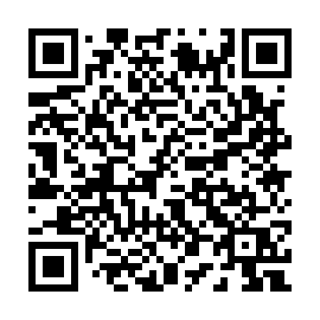 QR code for P01-17Q