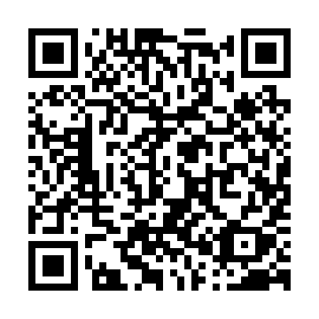 QR code for P01-29Y