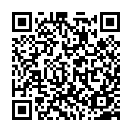 QR code for P0101T