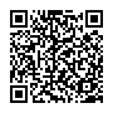QR code for P0156U