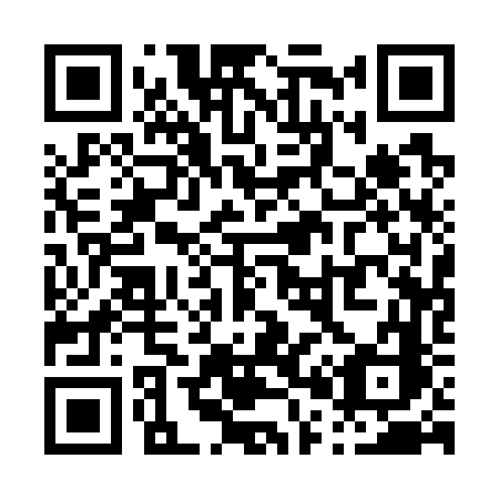 QR code for P0176C