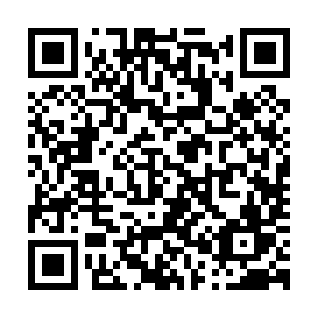QR code for P0209V
