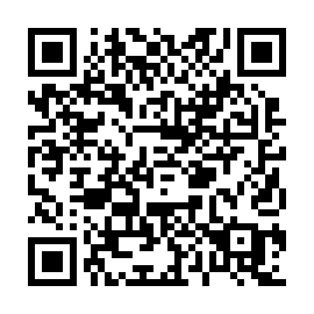 QR code for P0221A