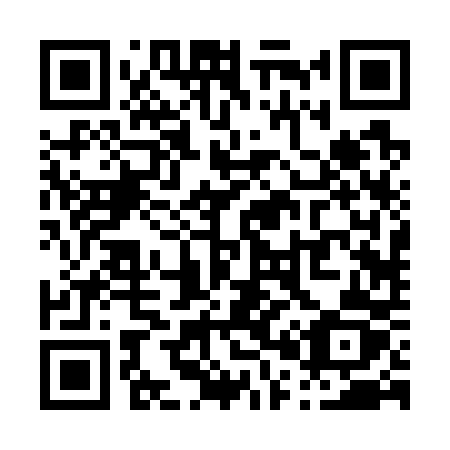 QR code for P0270Z