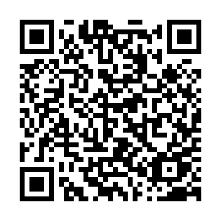 QR code for P03-80U