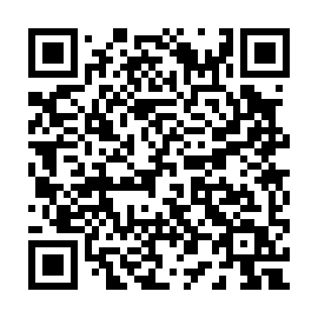 QR code for P0309T