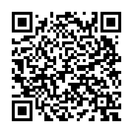 QR code for plate P03-63X