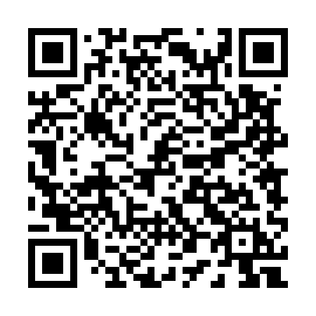 QR code for P0451H
