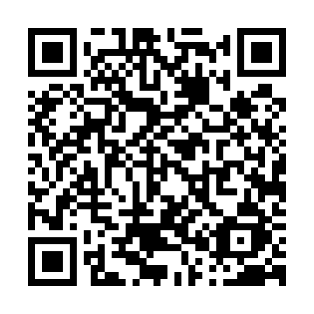 QR code for P0452J