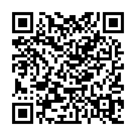 QR code for plate P04-91M