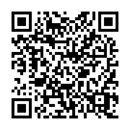 QR code for P0493V
