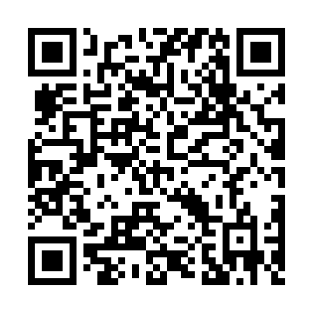 QR code for P0546O