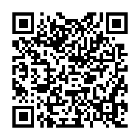 QR code for P06-77N