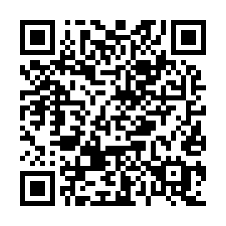 QR code for P06-95E
