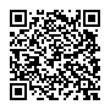 QR code for P0648B