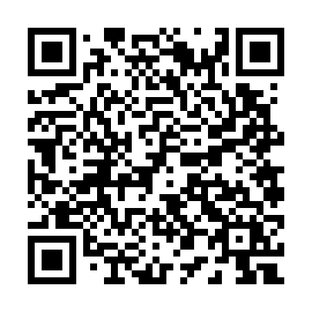 QR code for plate P06-76X