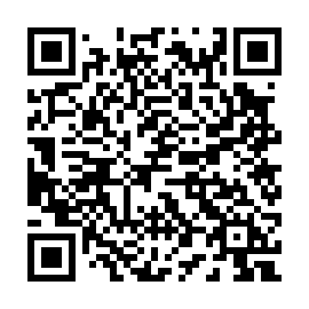 QR code for P0702H