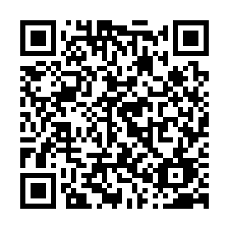QR code for P0733D