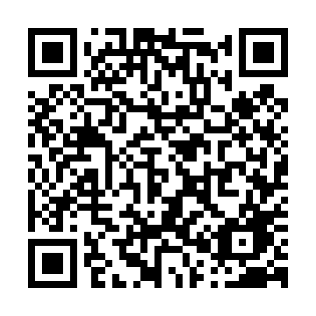 QR code for P0740G