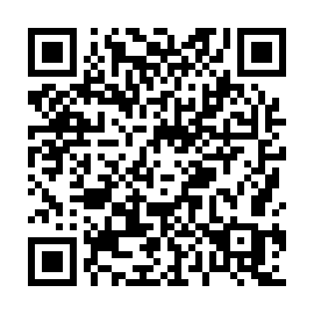 QR code for P0817C