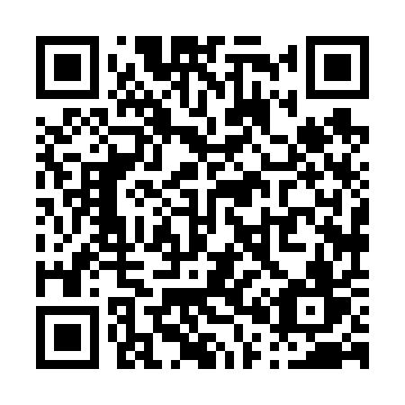 QR code for P0861V