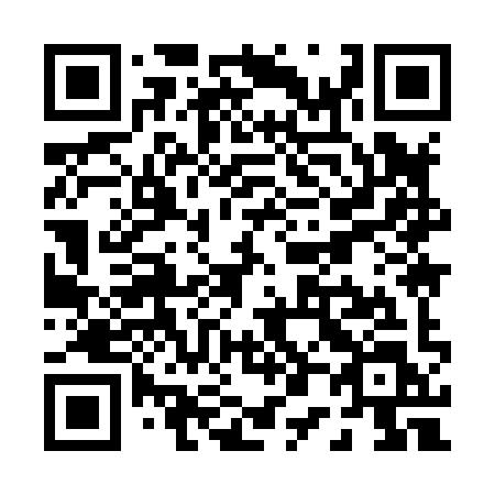 QR code for P0989L