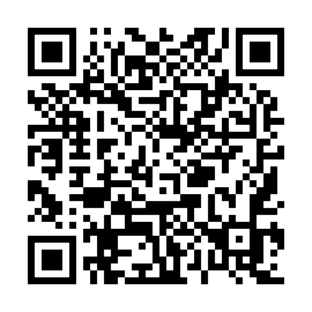 QR code for P0995K