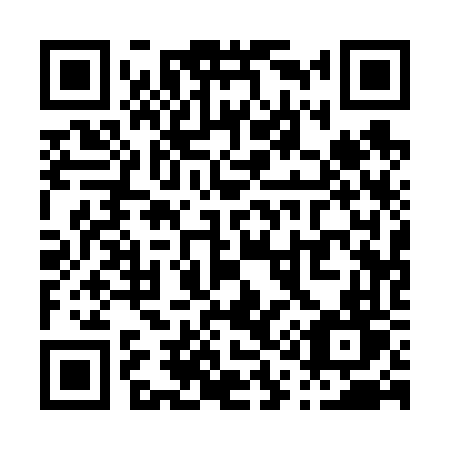 QR code for P11-66T