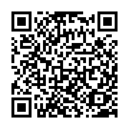 QR code for P11-95X