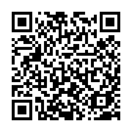 QR code for plate P11-49A