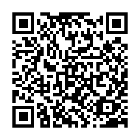 QR code for plate P11-59X