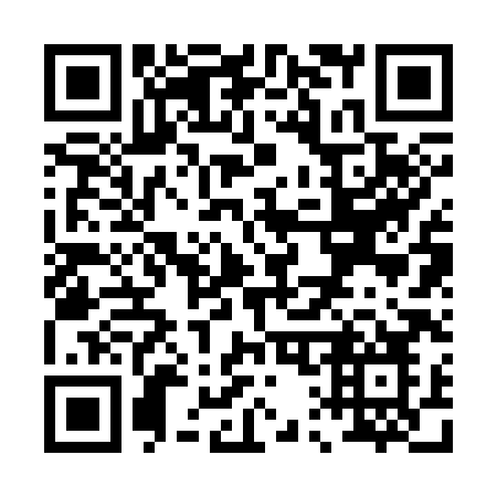 QR code for plate P12-38O