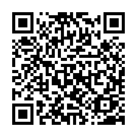 QR code for plate P12-87P