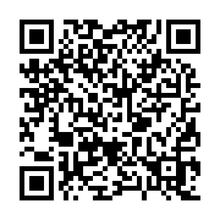 QR code for P13-91J