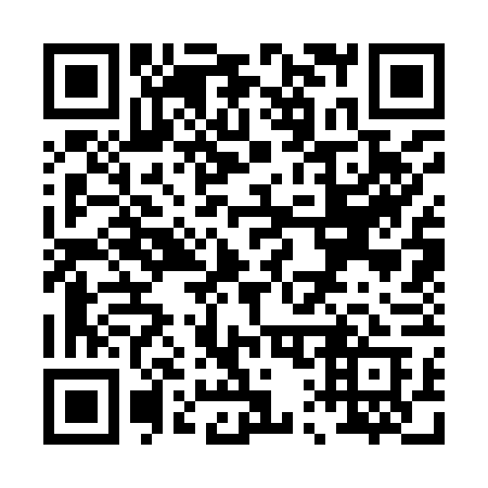 QR code for P13-96A