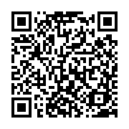 QR code for plate P13-76K