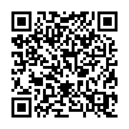 QR code for plate P13-80C