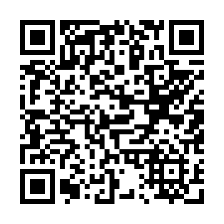 QR code for plate P15-60I