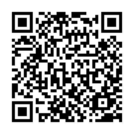 QR code for P1609T