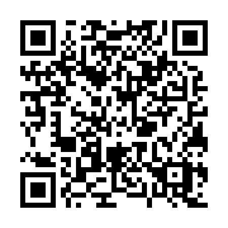 QR code for P17-83X