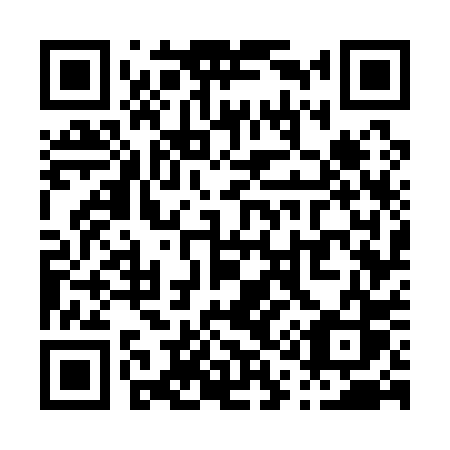 QR code for plate P17-10S