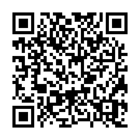 QR code for plate P17-16V