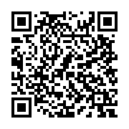 QR code for P1753X