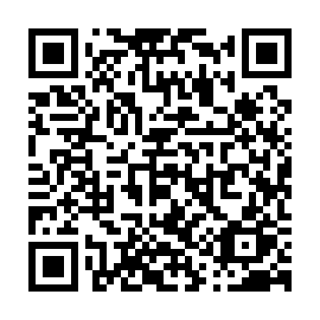 QR code for P19-12P